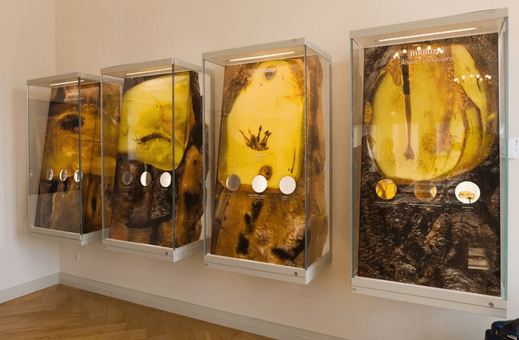 Tiškevičius Palace housing the Amber Museum