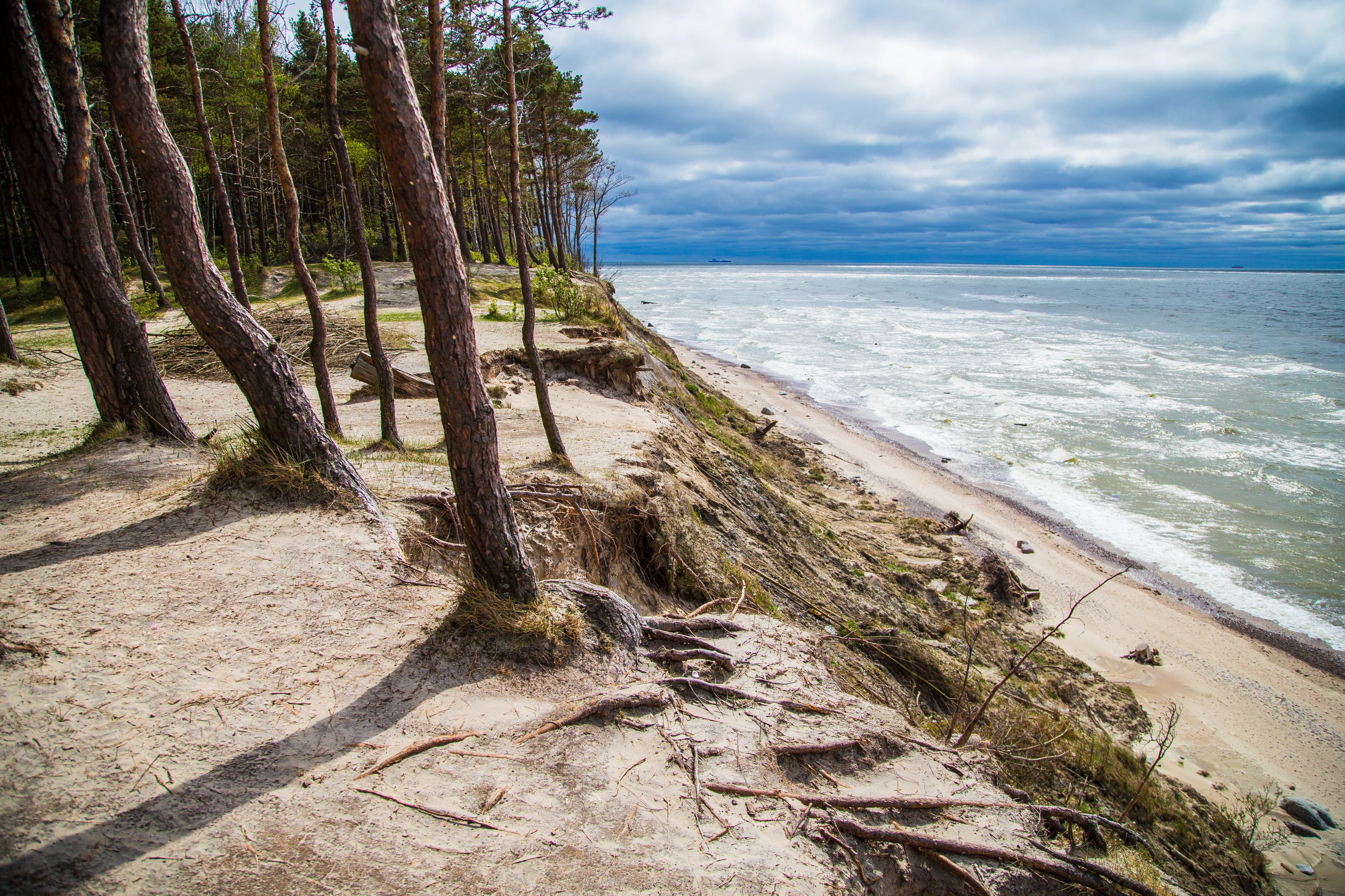 View from Dutchman's Cap cliff