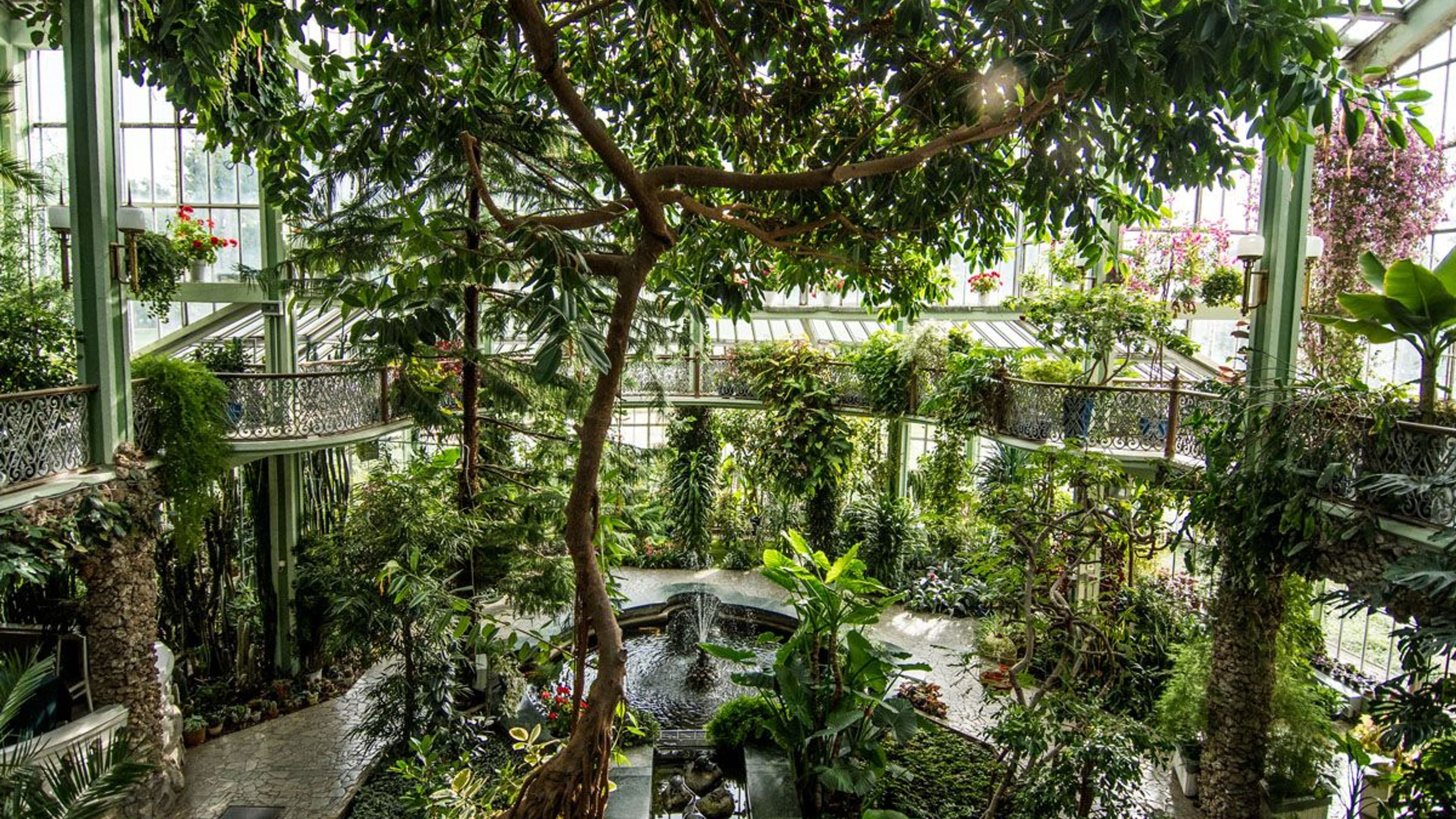 Kretinga Winter Garden greenhouse