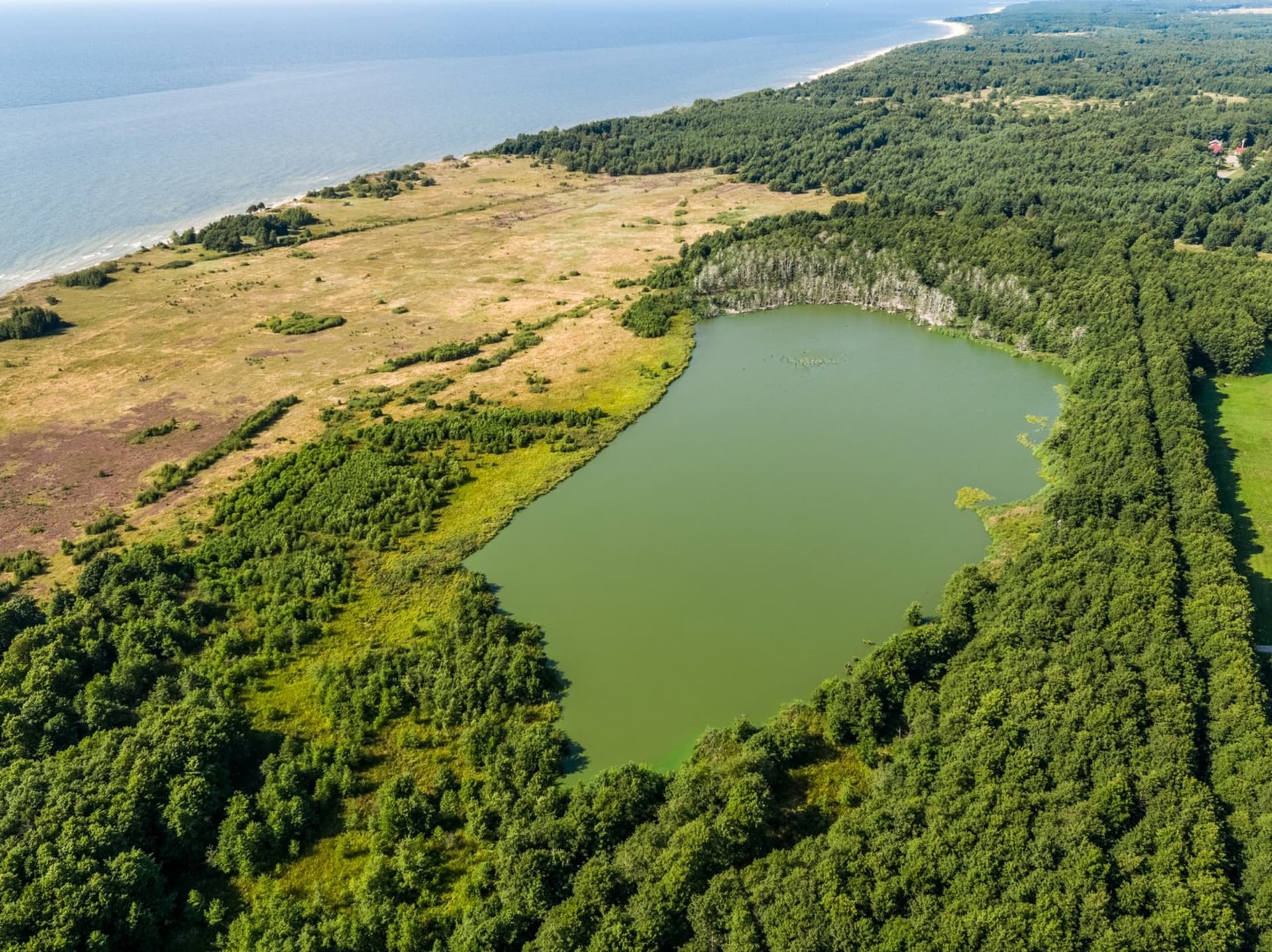 Plazė Lake with forest reflection